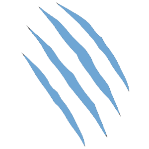 Scratch Icon MAXDECAL PPF